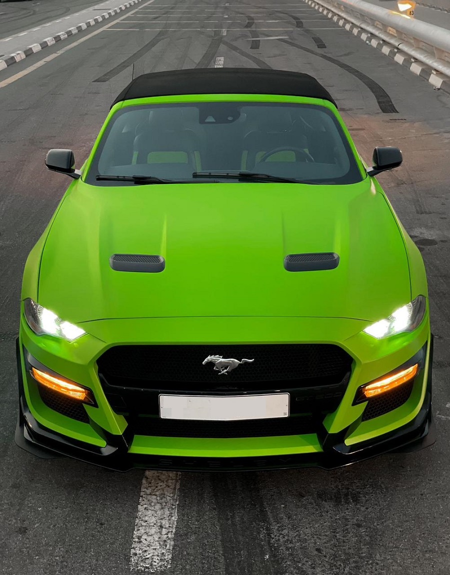 MUSTANG 2024